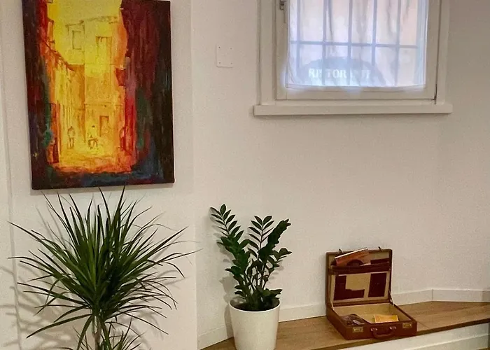 Domus 31 - Colosseum